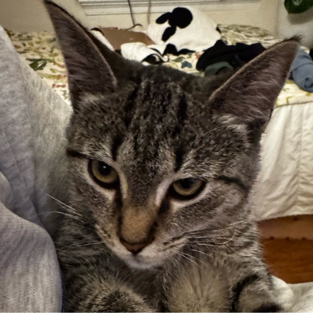 Meet your Posher, Eli